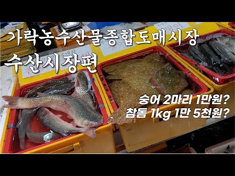 가락 수산시장(도매, 소매) 종류, 가격 비교