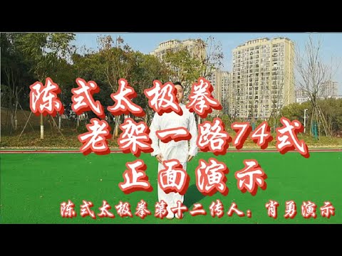 30年资深太极教练精彩演绎，陈氏太极拳老架一路74式（一）