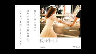 MACO「夏風邪」(lyric video) 2020.09.25 release