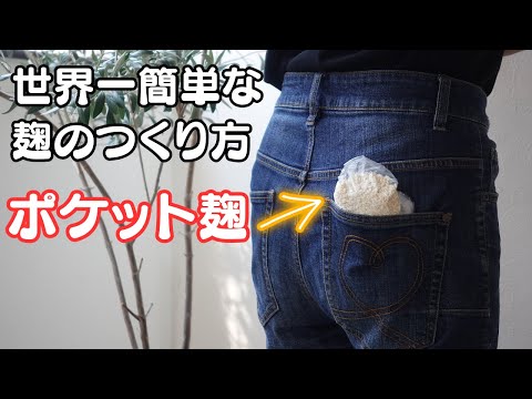 世界一簡単な麹のつくり方「ポケット麹」温度管理、特別な道具がいらない！