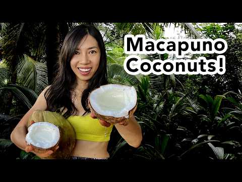 Vietnam's Secret Coconut Paradise