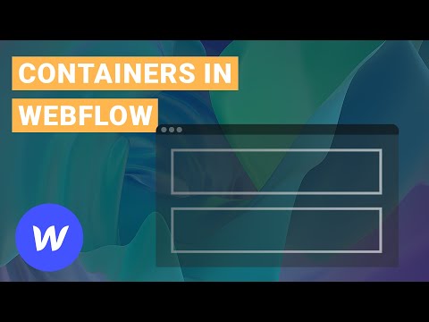 What are Container vs Sections in Webflow