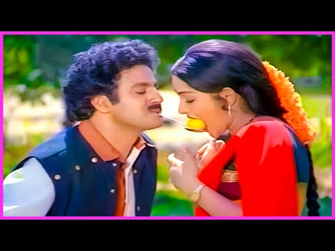 Balakrishna, Rajini Evergreen Song - Seetharama Kalyanam Movie Video Songs | Telugu Songs