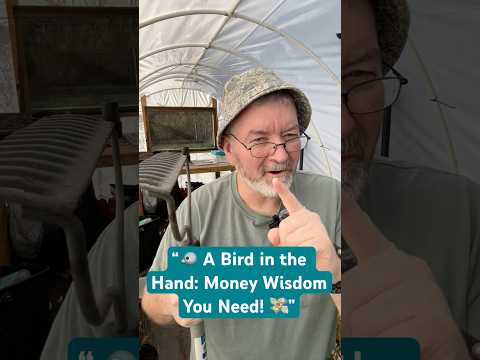 A Bird in the Hand: Southern Money Wisdom You Need 💸🐦