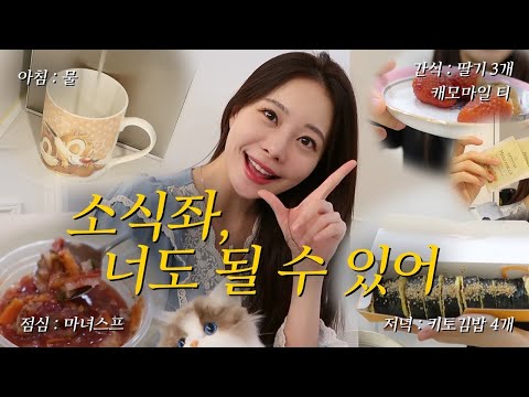 소식좌의 입맛 사라지는 꿀팁 & 하루 식단 알려드려요🥗