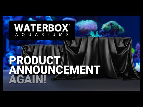 New Product Announcement. Again!