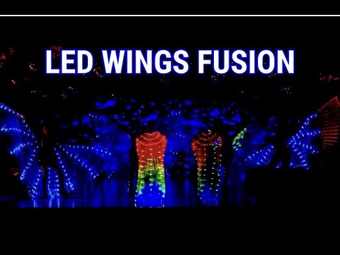 LED WINGS FUSION | Team Xtacy Dance Company