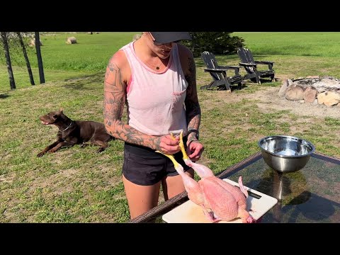 How To Easily  Process A Meat Bird (Chicken ) For Beginners