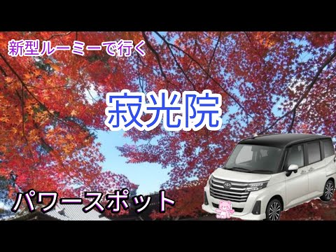 【ドライブ】新型ルーミーで行く寂光院　【紅葉】パワースポット