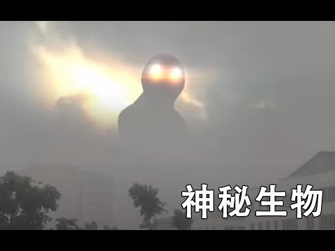 天空发现的奇怪生物