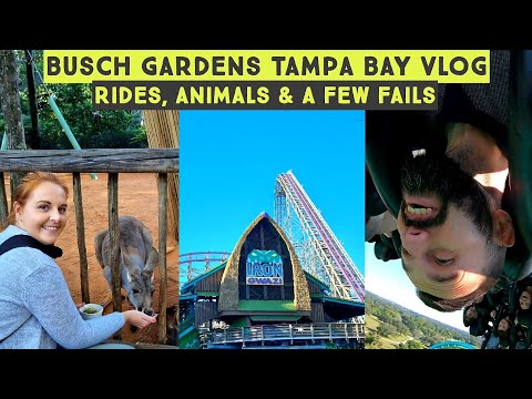 Busch Gardens Tampa - Rollercoasters, Animals, Two ill People & One Missing Bra Strap !!