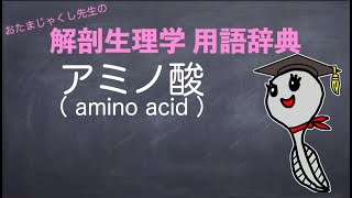 アミノ酸【解剖生理学用語辞典】