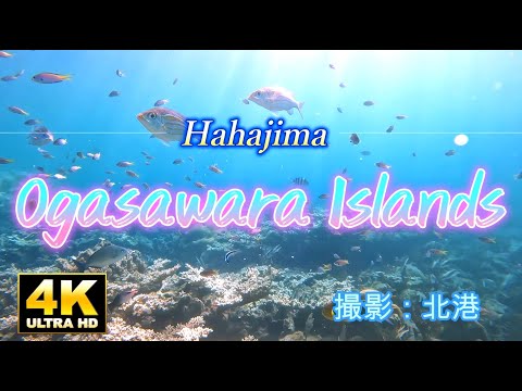 小笠原諸島・母島の絶景と癒しBGM | 観光スポット＆水中映像でリラックス