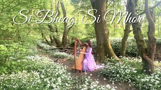 Si Bheag Si Mhor - Celtic Harp