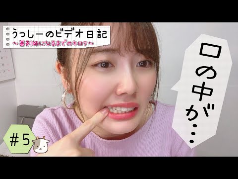 口の中が大変なことになって歯医者へ行きました😵😵🦷【うっしーのビデオ日記#5】