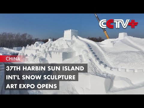 37th Harbin Sun Island Int'l Snow Sculpture Art Expo opens