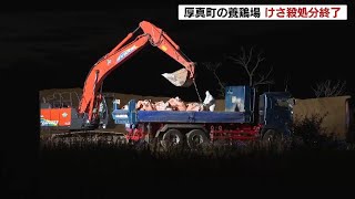 高病原性鳥インフルエンザ検出の養鶏場でニワトリ約16万羽の殺処分が終了　北海道厚真町