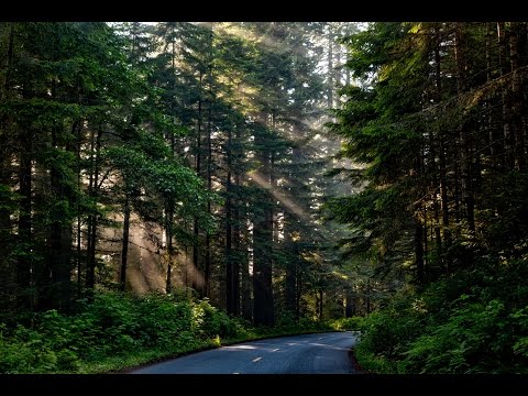 Chillout & Lounge Music To Relax [Planet EARTH]