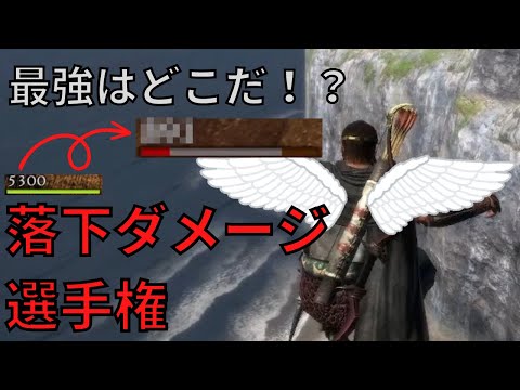 【ドラゴンズドグマダークアリズン】落下ダメージ選手権【DDDA解説】