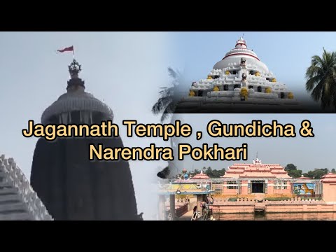 Exploring Jagannath Temple, Gundicha Temple & Narendra Pokhari | Puri, Odisha