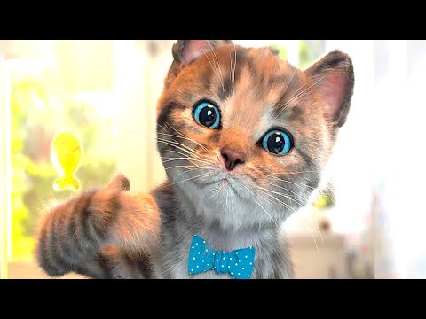 Cute Kitten Little Cat Adventure - Play Fun Pet Care - Preschool Educational Game Learning for kids!