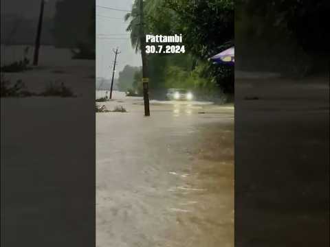 Flood#pattambi#shortsvideo #homemadehappinessbyeva