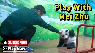 Learn How To Interact With The Wobbly Panda Baby Mei Zhu | iPanda