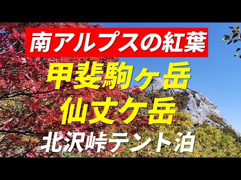 甲斐駒ヶ岳・仙丈ケ岳 南アルプスの紅葉 雷鳥との出会い 北沢峠 長衛小屋 テント泊 山頂の絶景は必見 富士山 北岳 間ノ岳 北アルプス 中央アルプス 御嶽山 乗鞍岳 八ヶ岳