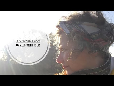 Allotment Garden Tour UK ; November 2020