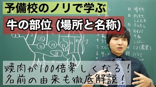 牛の部位を徹底解説！焼肉やステーキをさらに楽しむために