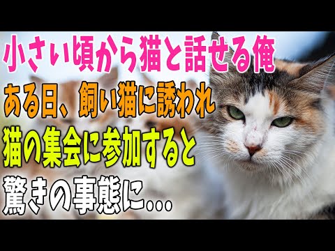 【猫の不思議な話】小さい頃から猫と話せる俺→飼い猫に誘われて猫の集会に参加してみると、そこでは驚きの会話が行われていた…。【朗読】