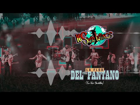 Los Siete Latinos - La Flor Del Pantano (En Vivo Yucatán) (Video Lyric)