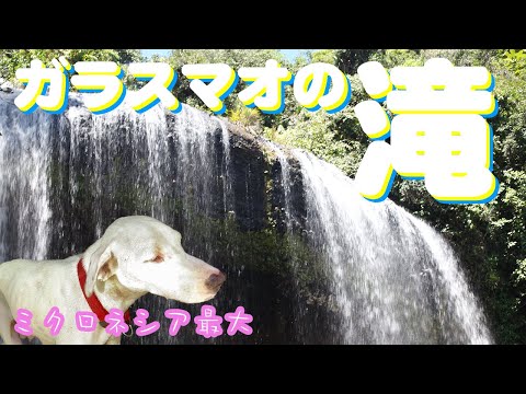 【ミクロネシア最大】ガラツマオの滝