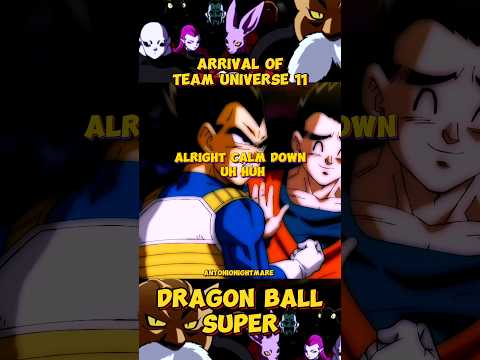 Dragon Ball Super - Vegeta and Goku felt the Power of The Team Universe 11. Jiren Looking Badass!