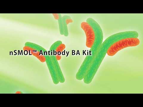 nSMOL Antibody BA Kit