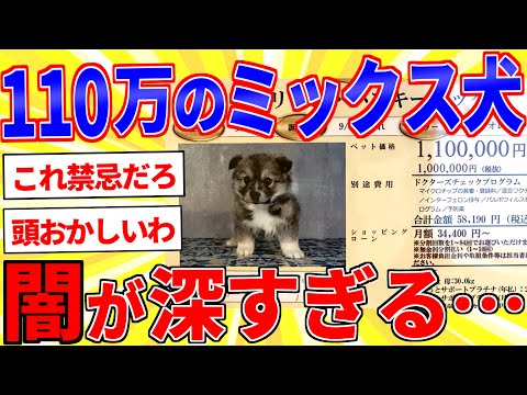 ペットショップ「ミックスイッヌ110万です」←闇が深すぎてヤバい…【2ch動物スレゆっくり解説】