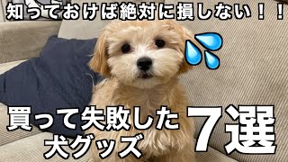 たくさんの失敗から厳選！買って失敗した犬グッズ7選【マルプー/チワプー】