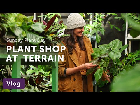 TERRAIN's New Plant Store — Vlog 058