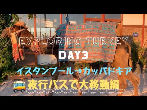 【Exploring Turkey】トルコひとり旅 Day3 イスタンブール→カッパドキア移動編