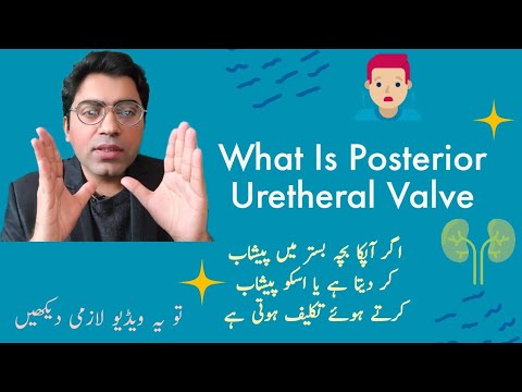 What is a Posterior Uretheral Valve? Causes, Diagnosis & Treatment #kidneydisease #renalfailure