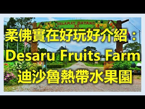 新加坡新山柔佛實在好玩好介紹： Desaru Fruits Farm 迪沙魯熱帶水果園！(www.sg2jb.com)