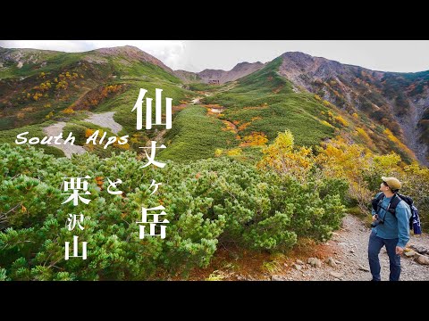 【テント泊登山】紅葉の南アルプス仙丈ヶ岳と栗沢山