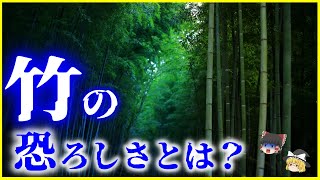 【ゆっくり解説】繁殖力ヤバい…身近で不思議な「竹」の生態と恐ろしさを解説/竹とは何者か？地下茎と成長スピード、侵食力が強すぎる