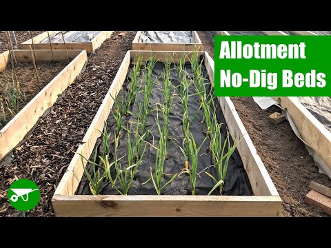 How to Make No-Dig Beds