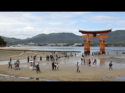 日本宮島 嚴島神社 日本三景之一的千年海上大鳥居