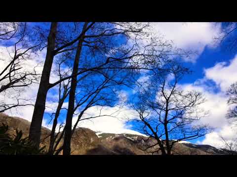 鳥海山・鶴間池