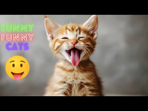 Funniest Cat Videos in The World😂 Funny Cat Videos 😹 Funny Cat Videos Try Not To  Laugh 😺😹 Part 117