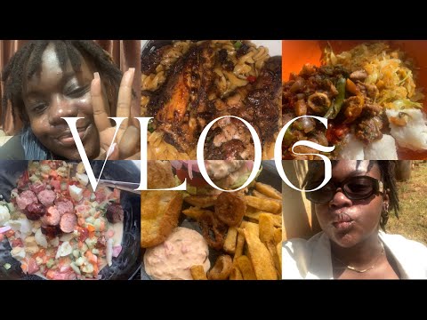 VLOG 043 | slowly getting myself out of a rut