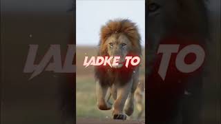 Lion Attitude shayari status Shayari status Attitude shayari #youtubeshorts#viral#shayari#shorts