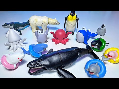 NEW Sea Animals Toys! Humpback Whale, Emperor Penguin, Squid, Octopus,   Leopard Seal, Pink Dolphin